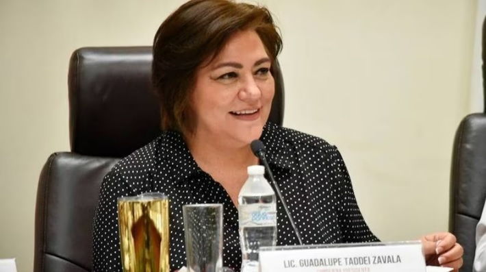 Guadalupe Taddei Zavala Ya Es Consejera Presidenta Del Ine Sergio Valle 6935