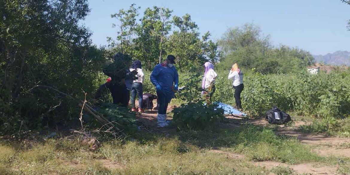 Localizan 2 Fosas Con Restos Humanos En Vivienda De San José De Guaymas ...